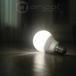 ARICOL 12W LED LAMP FROSTED B22 DAY LIGHT