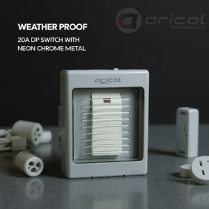 ARICOL 20A DP SWITCH WITH NEON