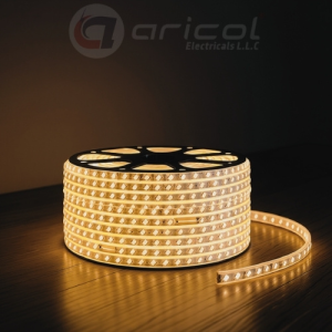 ARICOL ROPE LIGHT DOUBLE LINE-120 W-50 MTR WARMWHITE