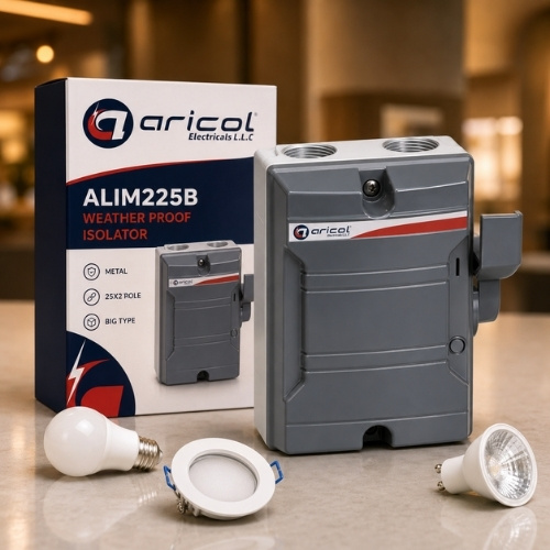 WEATHER-PROOF-ISOLATOR-METAL-25X2POLE-BIG-ABB-TYPE