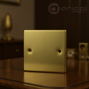 GOLD BLANK PLATE