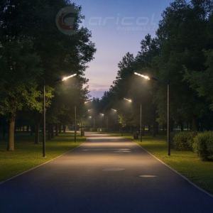 ARICOL LED 200W SOLAR STREET LIGHT DAYLIGHT